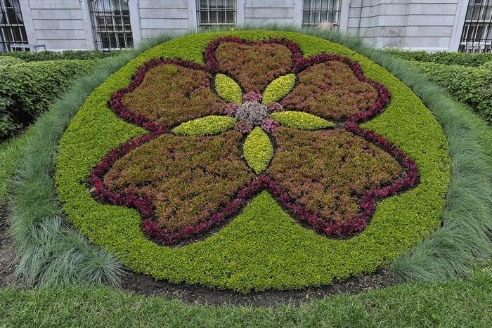 Mosaiculture (5)