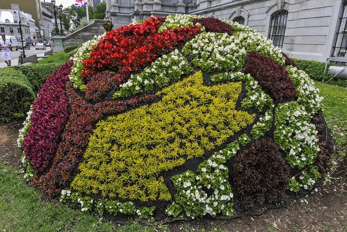 Mosaiculture (8)
