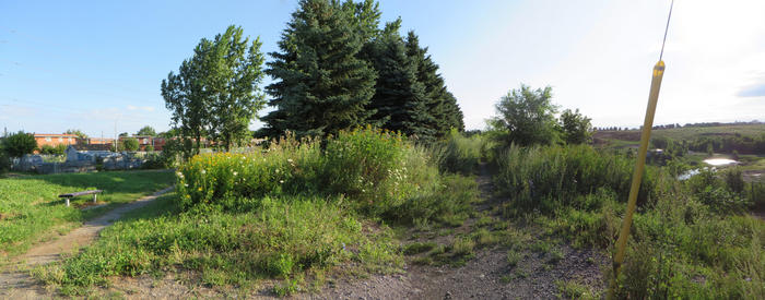 Parc du CESM