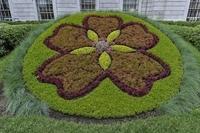 Mosaiculture (5)