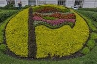 Mosaiculture (6)