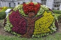 Mosaiculture (7)