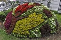 Mosaiculture (8)